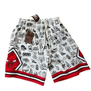 NBA Chicago Bulls Mitchell & Ness Doodle Shorts